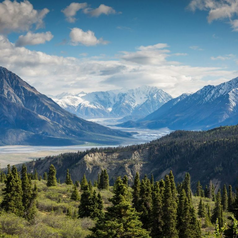 Lire la suite à propos de l’article Formez-vous…