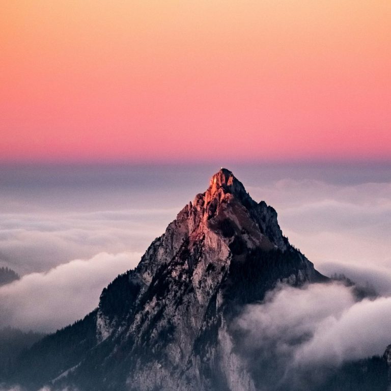 Lire la suite à propos de l’article Votre site est en ligne !